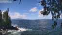 ./images/koeye/fitz-hugh/20260529/fitz-hugh20260529_121501M.jpg