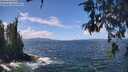 ./images/koeye/fitz-hugh/20260529/fitz-hugh20260529_124501M.jpg