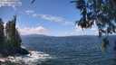 ./images/koeye/fitz-hugh/20260529/fitz-hugh20260529_125501M.jpg