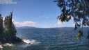 ./images/koeye/fitz-hugh/20260529/fitz-hugh20260529_130001M.jpg