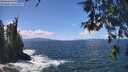 ./images/koeye/fitz-hugh/20260529/fitz-hugh20260529_130501M.jpg