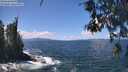 ./images/koeye/fitz-hugh/20260529/fitz-hugh20260529_131002M.jpg