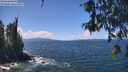 ./images/koeye/fitz-hugh/20260529/fitz-hugh20260529_131501M.jpg