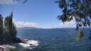 ./images/koeye/fitz-hugh/20260529/fitz-hugh20260529_132501M.jpg