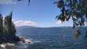 ./images/koeye/fitz-hugh/20260529/fitz-hugh20260529_133501M.jpg