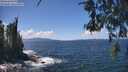 ./images/koeye/fitz-hugh/20260529/fitz-hugh20260529_134501M.jpg