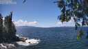 ./images/koeye/fitz-hugh/20260529/fitz-hugh20260529_135002M.jpg