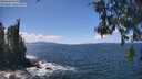 ./images/koeye/fitz-hugh/20260529/fitz-hugh20260529_135501M.jpg
