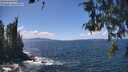 ./images/koeye/fitz-hugh/20260529/fitz-hugh20260529_140001M.jpg