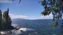 ./images/koeye/fitz-hugh/20260529/fitz-hugh20260529_140501M.jpg