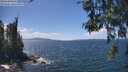 ./images/koeye/fitz-hugh/20260529/fitz-hugh20260529_141002M.jpg
