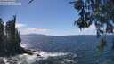 ./images/koeye/fitz-hugh/20260529/fitz-hugh20260529_141501M.jpg