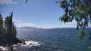 ./images/koeye/fitz-hugh/20260529/fitz-hugh20260529_143501M.jpg