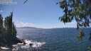./images/koeye/fitz-hugh/20260529/fitz-hugh20260529_144002M.jpg