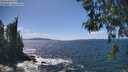 ./images/koeye/fitz-hugh/20260529/fitz-hugh20260529_144501M.jpg