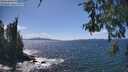 ./images/koeye/fitz-hugh/20260529/fitz-hugh20260529_145002M.jpg
