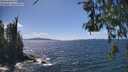 ./images/koeye/fitz-hugh/20260529/fitz-hugh20260529_145501M.jpg