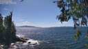 ./images/koeye/fitz-hugh/20260529/fitz-hugh20260529_150001M.jpg