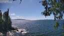 ./images/koeye/fitz-hugh/20260529/fitz-hugh20260529_150501M.jpg
