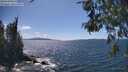 ./images/koeye/fitz-hugh/20260529/fitz-hugh20260529_151001M.jpg