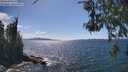 ./images/koeye/fitz-hugh/20260529/fitz-hugh20260529_153001M.jpg