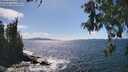 ./images/koeye/fitz-hugh/20260529/fitz-hugh20260529_153501M.jpg