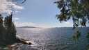 ./images/koeye/fitz-hugh/20260529/fitz-hugh20260529_154001M.jpg