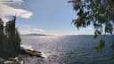 ./images/koeye/fitz-hugh/20260529/fitz-hugh20260529_154501M.jpg