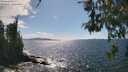 ./images/koeye/fitz-hugh/20260529/fitz-hugh20260529_155001M.jpg