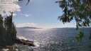 ./images/koeye/fitz-hugh/20260529/fitz-hugh20260529_155501M.jpg