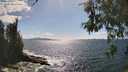 ./images/koeye/fitz-hugh/20260529/fitz-hugh20260529_160501M.jpg