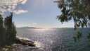./images/koeye/fitz-hugh/20260529/fitz-hugh20260529_161001M.jpg