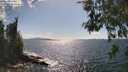 ./images/koeye/fitz-hugh/20260529/fitz-hugh20260529_161501M.jpg