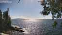 ./images/koeye/fitz-hugh/20260529/fitz-hugh20260529_162501M.jpg