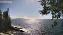 ./images/koeye/fitz-hugh/20260529/fitz-hugh20260529_163001M.jpg