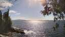 ./images/koeye/fitz-hugh/20260529/fitz-hugh20260529_164502M.jpg