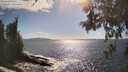./images/koeye/fitz-hugh/20260529/fitz-hugh20260529_165501M.jpg