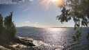 ./images/koeye/fitz-hugh/20260529/fitz-hugh20260529_172001M.jpg