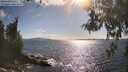 ./images/koeye/fitz-hugh/20260529/fitz-hugh20260529_172501M.jpg