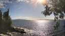 ./images/koeye/fitz-hugh/20260529/fitz-hugh20260529_173001M.jpg