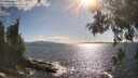./images/koeye/fitz-hugh/20260529/fitz-hugh20260529_173501M.jpg