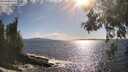./images/koeye/fitz-hugh/20260529/fitz-hugh20260529_174001M.jpg