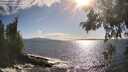 ./images/koeye/fitz-hugh/20260529/fitz-hugh20260529_174501M.jpg