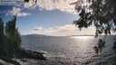 ./images/koeye/fitz-hugh/20260529/fitz-hugh20260529_181001M.jpg