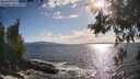 ./images/koeye/fitz-hugh/20260529/fitz-hugh20260529_181501M.jpg