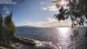./images/koeye/fitz-hugh/20260529/fitz-hugh20260529_182001M.jpg