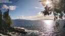 ./images/koeye/fitz-hugh/20260529/fitz-hugh20260529_182501M.jpg