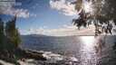./images/koeye/fitz-hugh/20260529/fitz-hugh20260529_183501M.jpg
