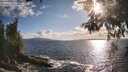 ./images/koeye/fitz-hugh/20260529/fitz-hugh20260529_184001M.jpg