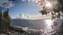 ./images/koeye/fitz-hugh/20260529/fitz-hugh20260529_184501M.jpg